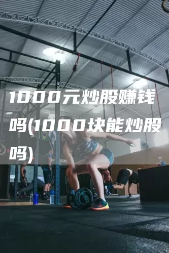 1000元炒股賺錢嗎(1000塊能炒股嗎)(圖1)