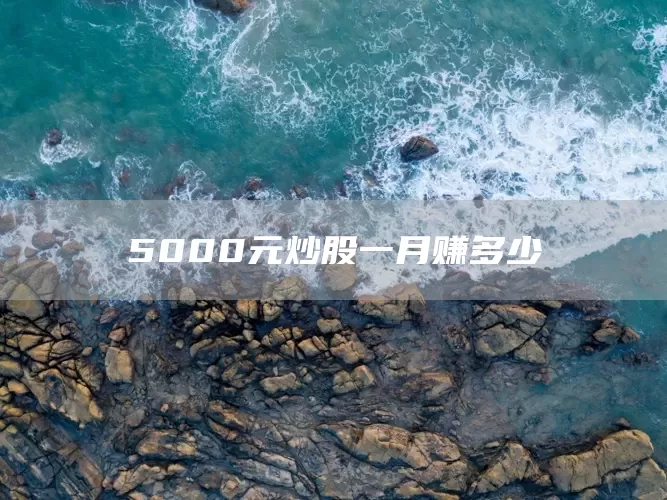 5000元炒股一月賺多少(圖1)